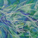 Sea Life 1