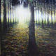 Wilderswood 4