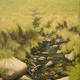 Moorland Stream