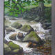 River Douglas Rocks