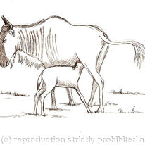 Gnu
