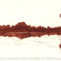 Rufiji River