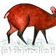Red Duiker