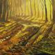 Light through the Woods