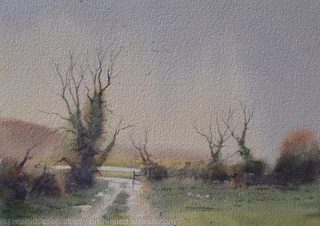 Flooded Fields
