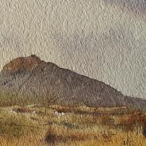 Carn llidi