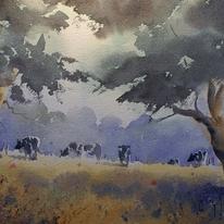Summer Cows