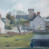 Sunday Sheep Llantwit Major