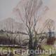 Road Side Tree