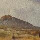 Carn llidi