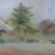 Windrush farm 1