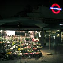 Flower Shop Time-lapse