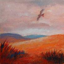 Red Kite ,Breacon Beacons