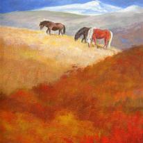 Grazing, Pen-Y-Fan