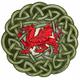 Welsh Dragon
