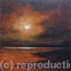 Moon-lit ( estuary)