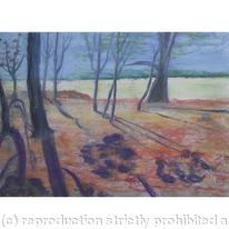 Autumn Woodland