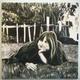 painting new photos… | | | painting new photos…