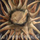 The Thistle - Sold