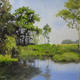 A Late Summer Afternoon | | | Oil on stretched canvas A Late Summer Afternoon