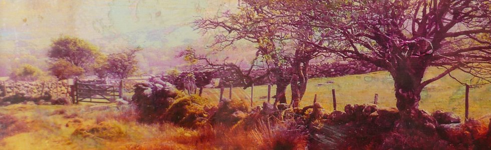 Dartmoor