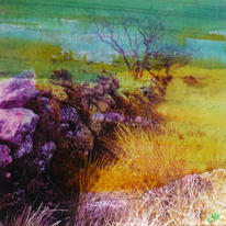 Dartmoor Wall