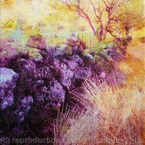 Dartmoor Wall II
