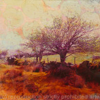 Dartmoor