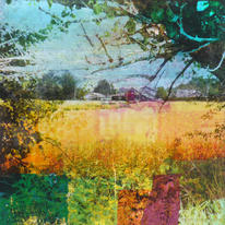 hidden Summer on the Farm