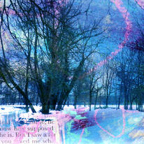 hidden Winters Day