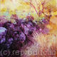 Dartmoor Wall II