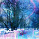 Winters Day