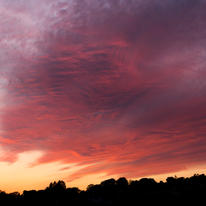 Varndean Evening