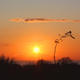Sunset over Dyke Road…