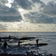 Beachcombers at Birling…