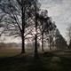 Preston Park Elms at…