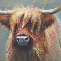 Bad Hair Day