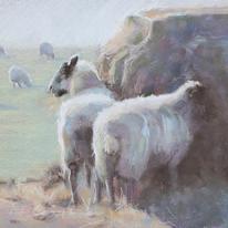 Sheep by the Hay 