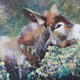 Devon Donkey