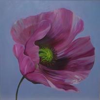 hidden Poppy on Sky