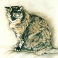 Shelley