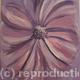 Lilac Flower