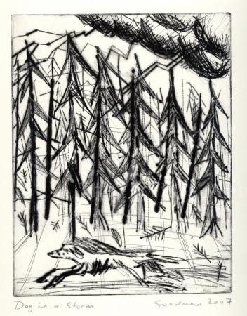 Dog in a Storm by Gary Goodman