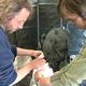 Image 5 - Andrew and…
