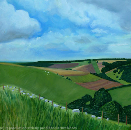 Summer Fields on the South Downs