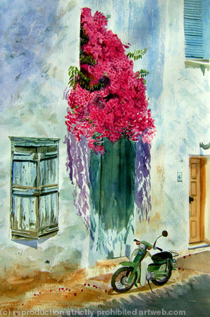 Bougainvillea Door