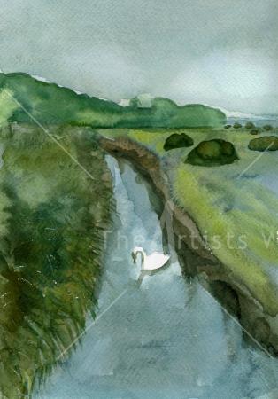 Summer river with swan
