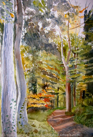 Autumn trees in Sussex