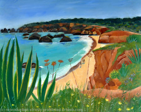 Praia do vau