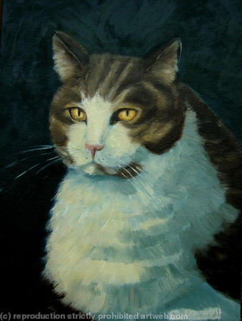 Tabby